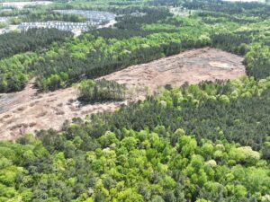 DJI Fly 20250414 132748 873 1744658553724 foto